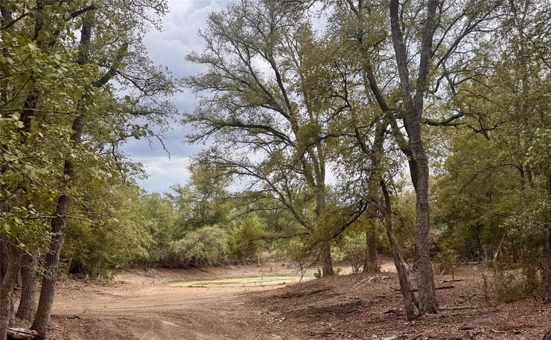12 Acres Mt Pleasant, Cedar Creek, TX 78612