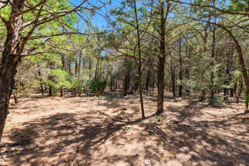 12 Acres Mt Pleasant, Cedar Creek, TX 78612