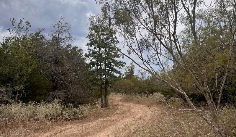 12 Acres Mt Pleasant RD, Cedar Creek, TX 78612