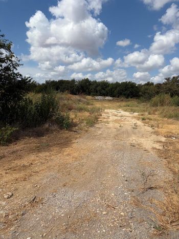 179 Evangeline LN, Hutto, TX 78634