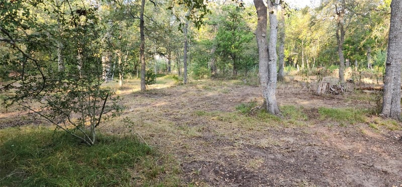 194 Fm 2104, Smithville, TX 78957