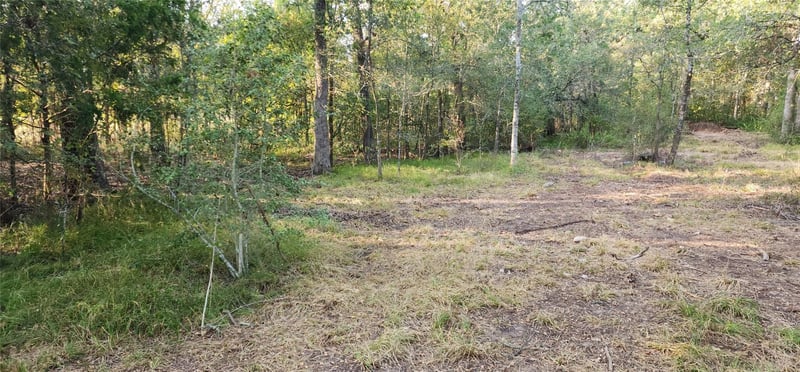 194 Fm 2104, Smithville, TX 78957