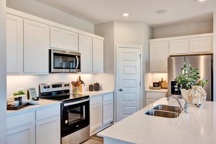 1229 Wild Leaf Way, San Marcos, TX 78666