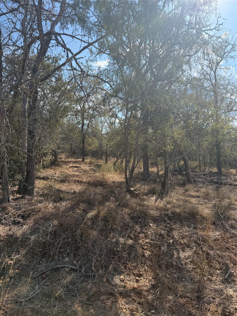 Lot 539 Kaaawa LN, Bastrop, TX 78602