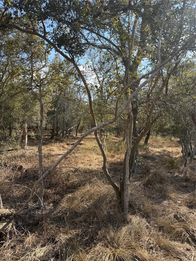 Lot 539 Kaaawa LN, Bastrop, TX 78602