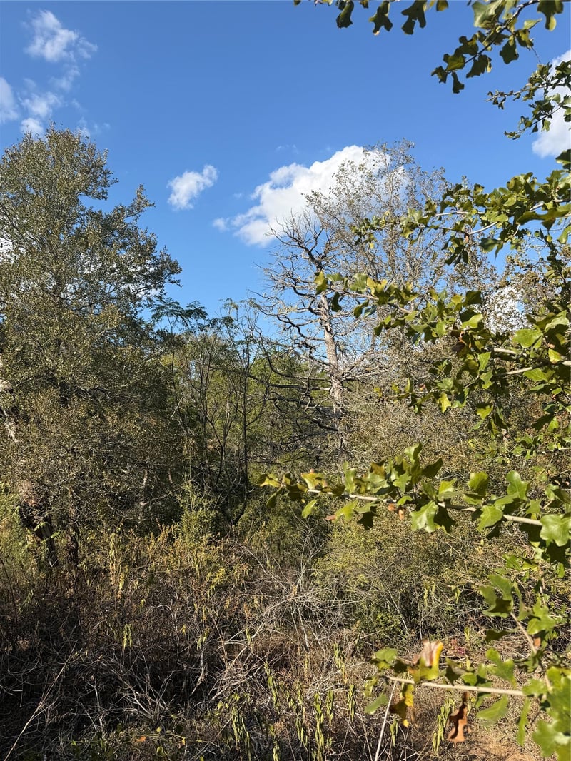 Lot 539 Palikea CIR, Bastrop, TX 78602