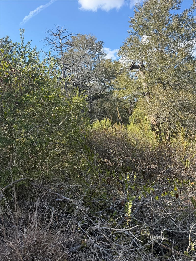 Lot 539 Palikea CIR, Bastrop, TX 78602