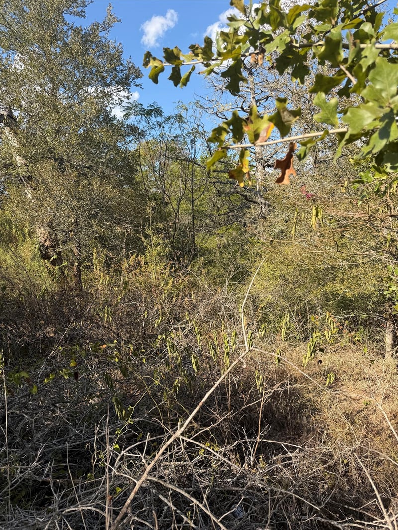 Lot 539 Palikea CIR, Bastrop, TX 78602