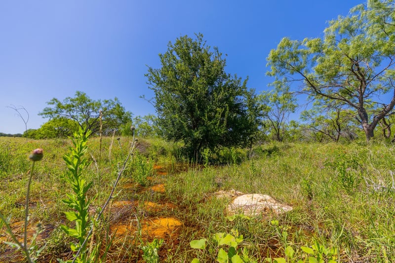 TBD Hidden Pond Ranch County Road 180 RD, Purmela, TX 76566