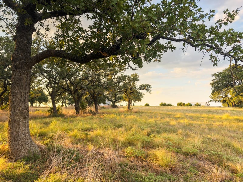 924 Axis CIR, Fredericksburg, TX 78624