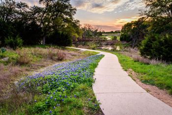 809 Lorraine CV, Round Rock, TX 78665