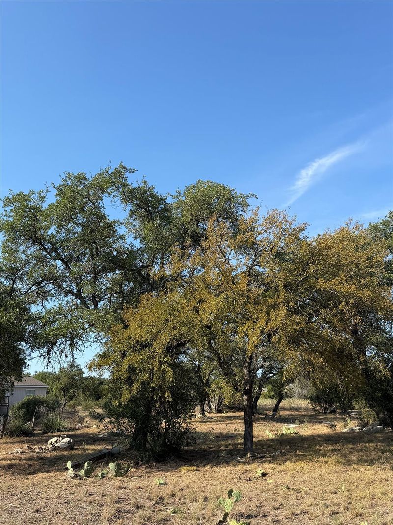 1701 Fox Foot, Horseshoe Bay, TX 78657