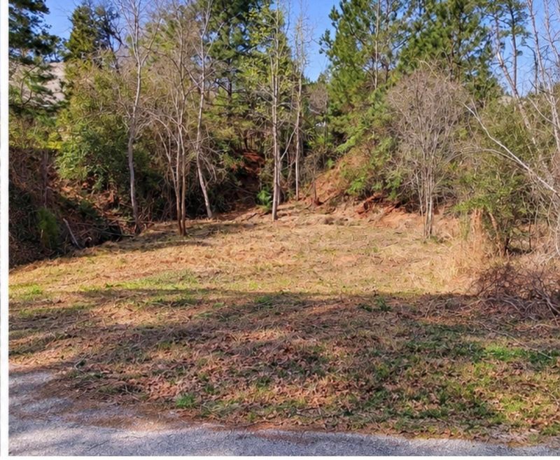 0 N Kanaio DR, Bastrop, TX 78602