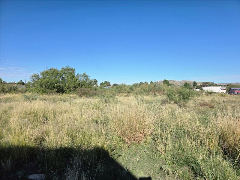 2407 Covey LN, Alpine, TX 79830