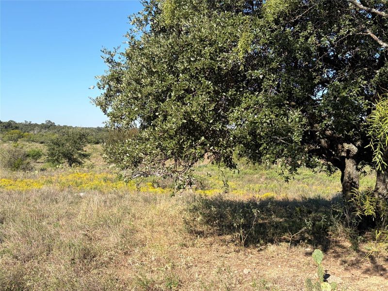 2965 Old Marble Falls RD, Round Mountain, TX 78663
