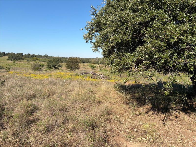 2965 Old Marble Falls RD, Round Mountain, TX 78663