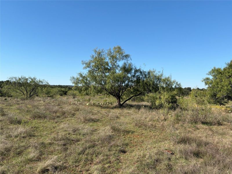 2965 Old Marble Falls RD, Round Mountain, TX 78663