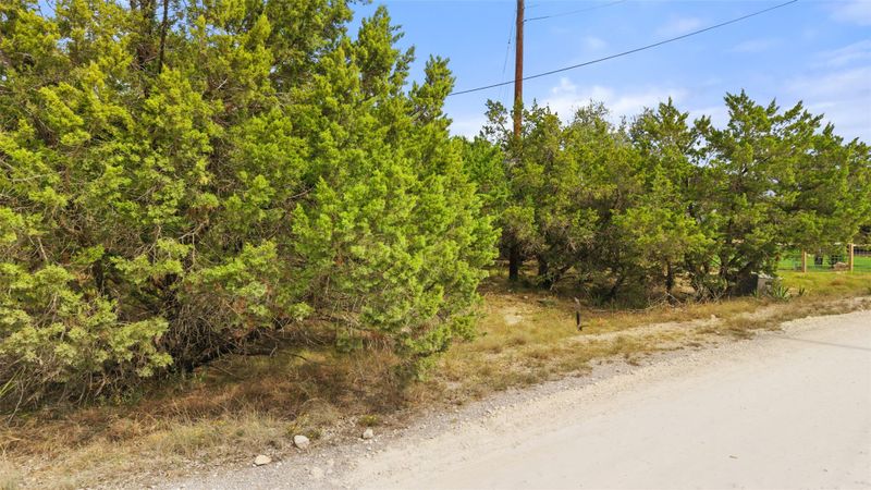 17200 Oak Cliff CIR, Dripping Springs, TX 78620