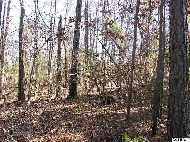 107 Sherham Way #60, Rock Hill, SC 29732