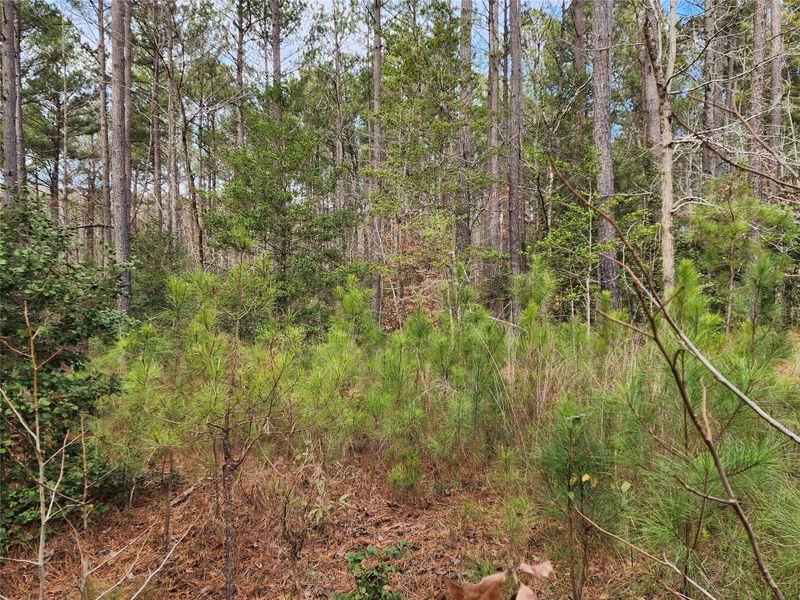 3341 Sherman Dr Lot 27, Lancaster, SC 29720