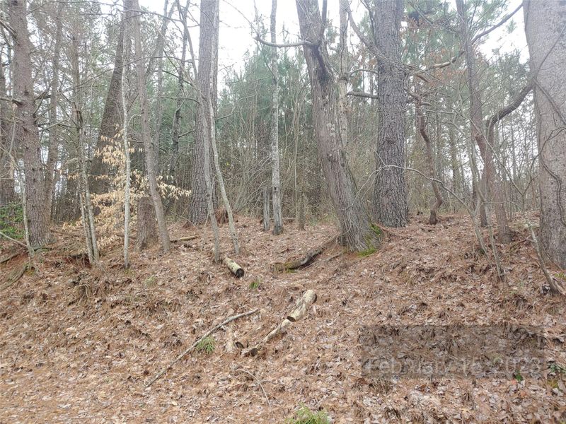 1234 I St, Newton, NC 28658