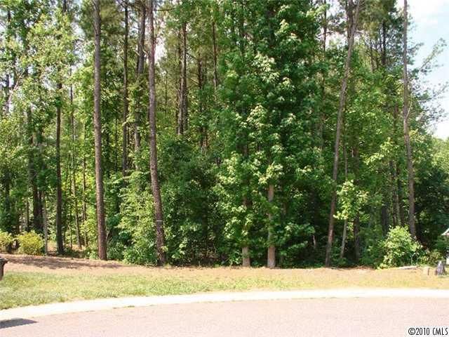 LT 462 Ash Hollow Ln, Denver, NC 28037