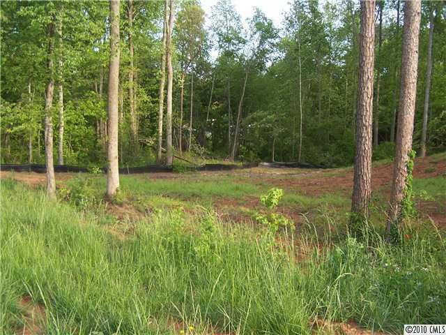0 Chapel Creek Dr, Denver, NC 28037