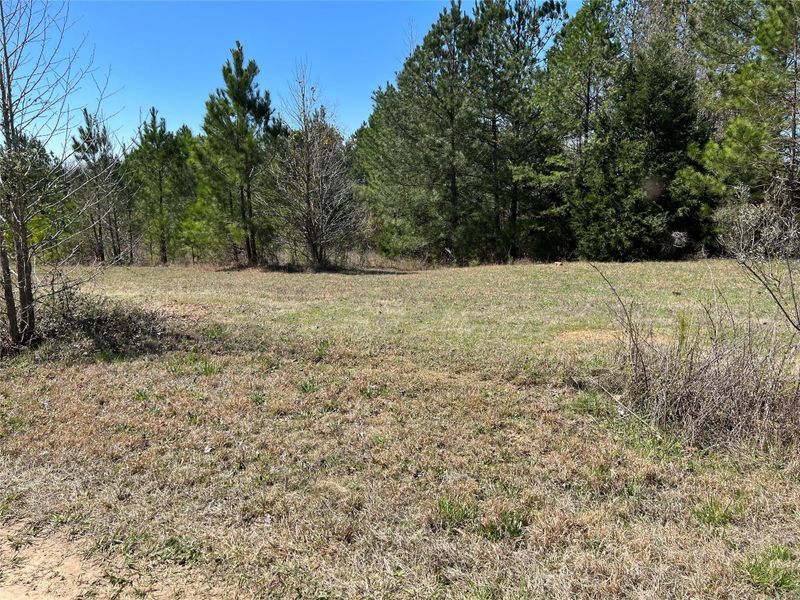 742 Sidney Cornwell Ct, Catawba, SC 29704