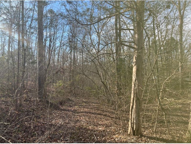 00 Old Eury Rd, Rock Hill, SC 29732