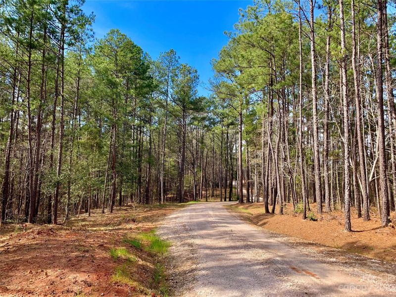 0 Pine Forest Dr, Van Wyck, SC 29720