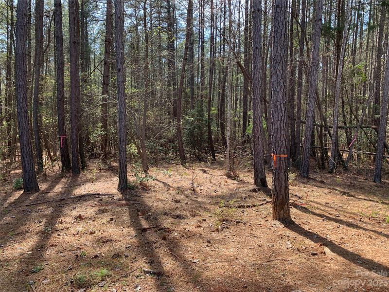 0 Pine Forest Dr, Van Wyck, SC 29720