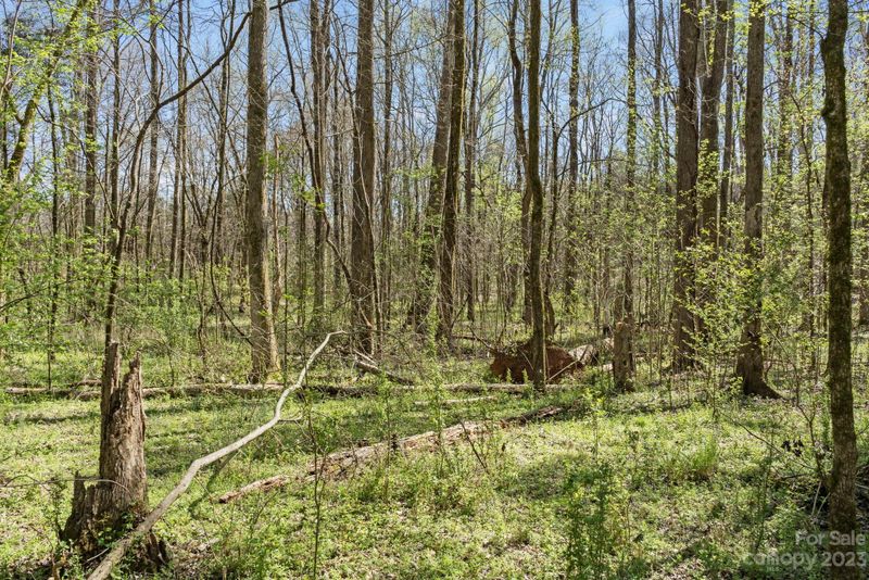7908 Walkup Rd, Waxhaw, NC 28173