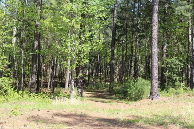 1293 Pine Forest Dr, Lancaster, SC 29720