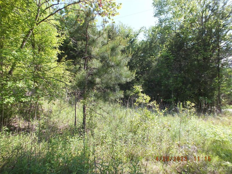 1398 Hershel Plyler Rd, Lancaster, SC 29720