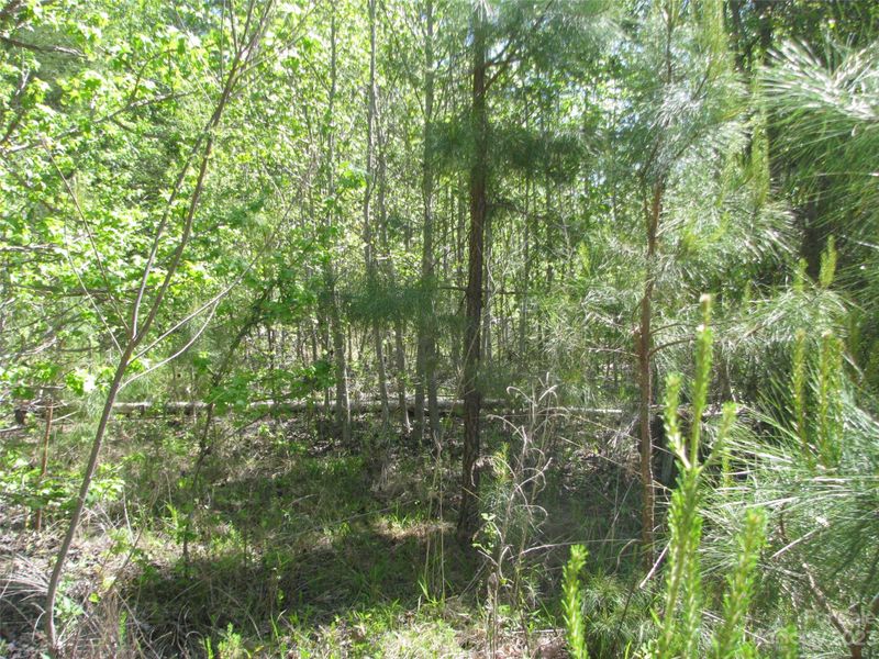 3.25 AC Pilgrim Rd, Chester, SC 29706