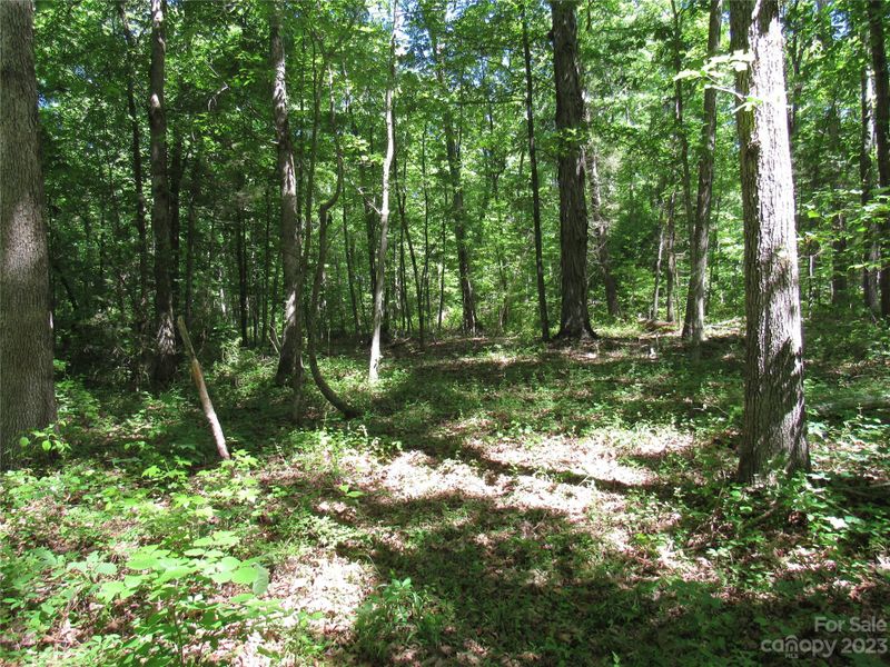 5575 Sapp Rd, Rockwell, NC 28138