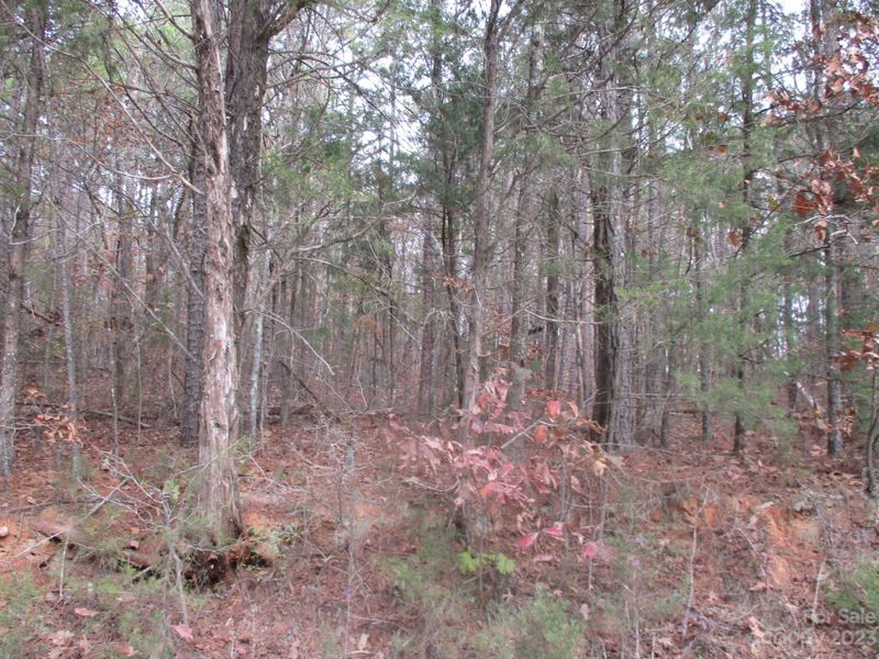 0000 Richardson Rd, Lancaster, SC 29720