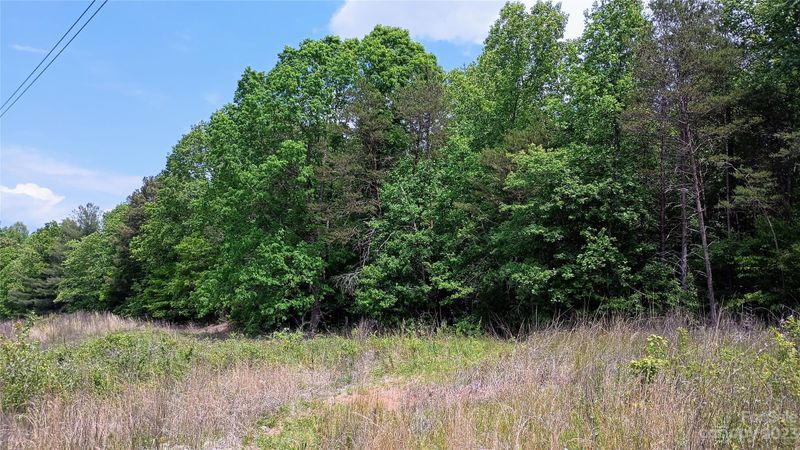 51.49 acres Wilderness Ln, Stony Point, NC 28678