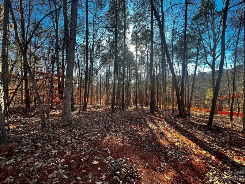 157 Copper Pine Ln #7, Davidson, NC 28036