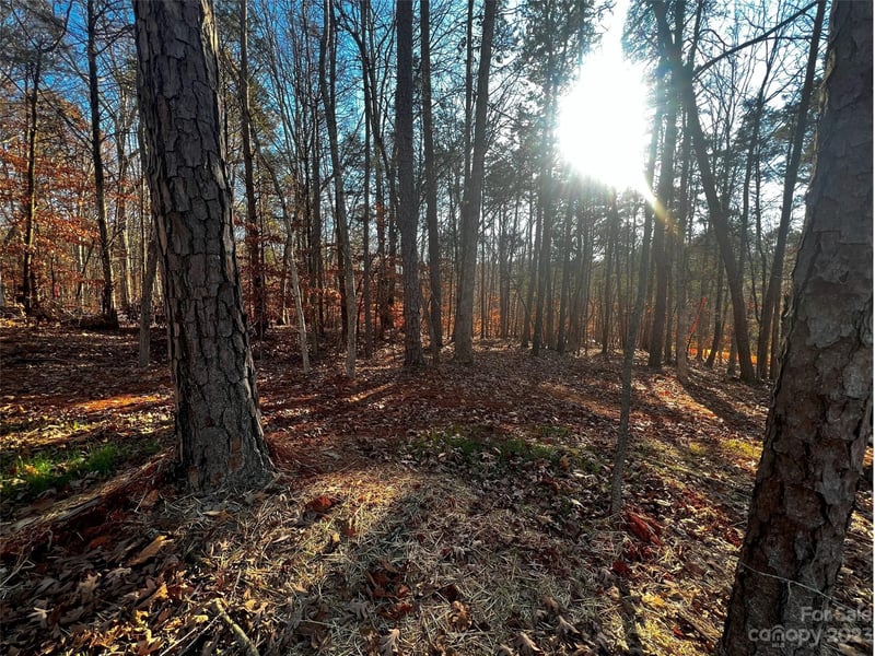 157 Copper Pine Ln #7, Davidson, NC 28036