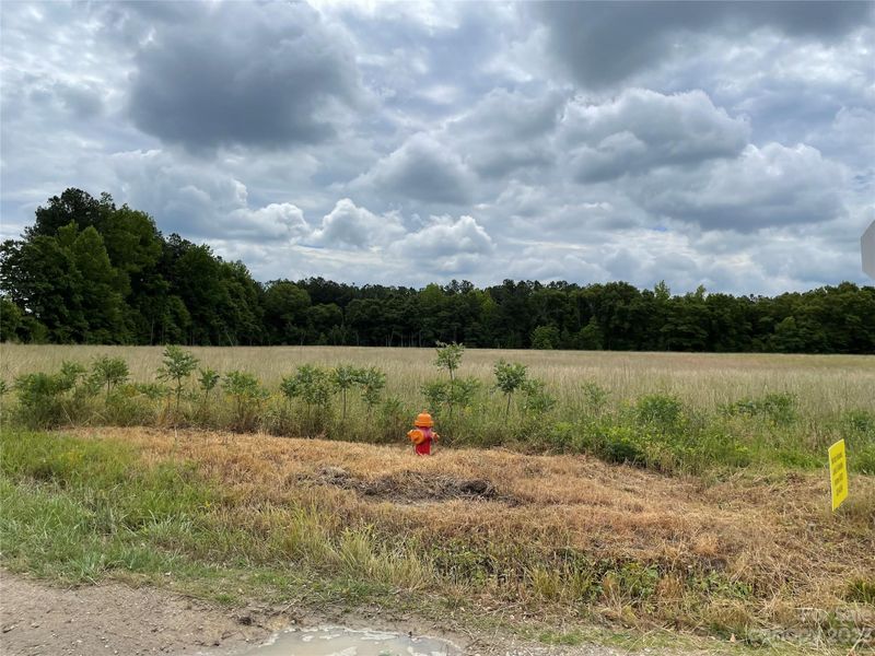 00 New Hope Rd, Heath Springs, SC 29720