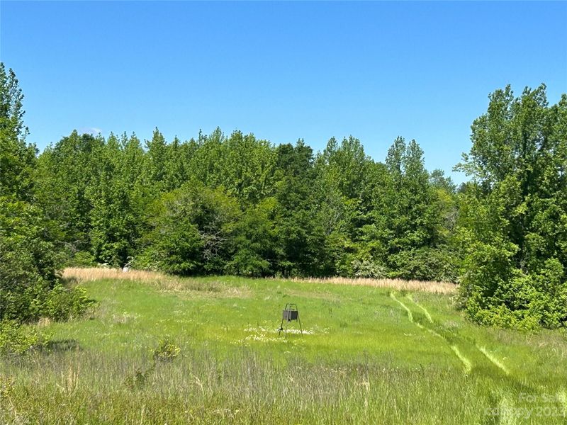 30 AC Beersheba Rd, Sharon, SC 29742