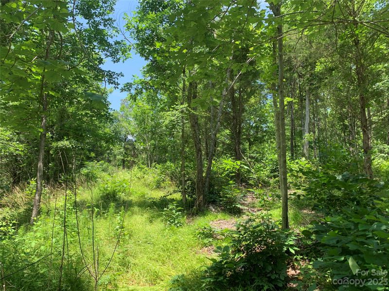 7910 Elegant Estates Dr #4, Mount Pleasant, NC 28124