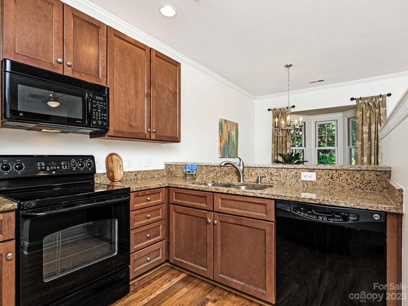 4609 Dabney Vigor Dr, Charlotte, NC 28209
