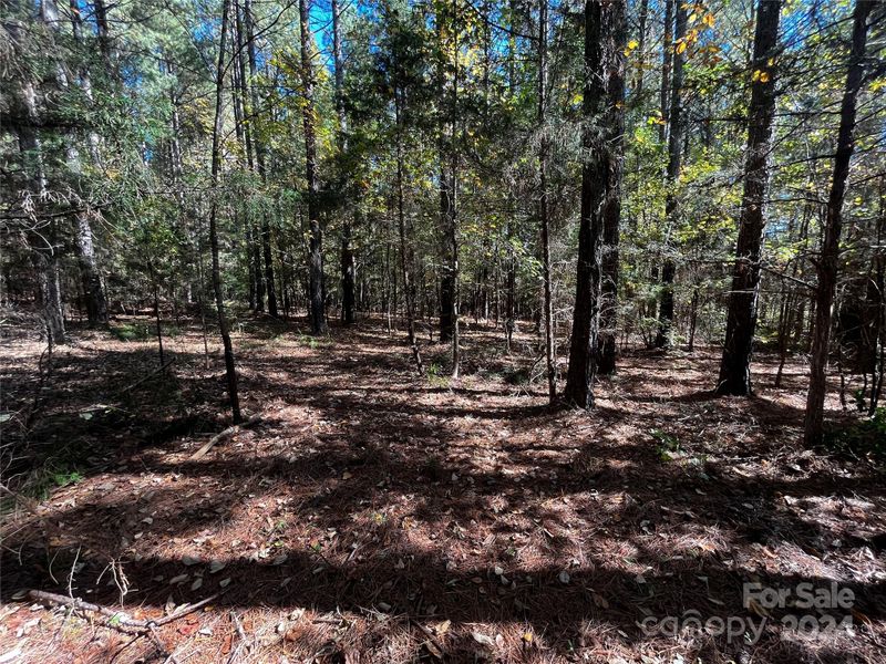 10201 Reed Mine Rd, Midland, NC 28107