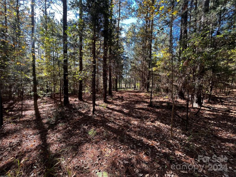 10201 Reed Mine Rd, Midland, NC 28107