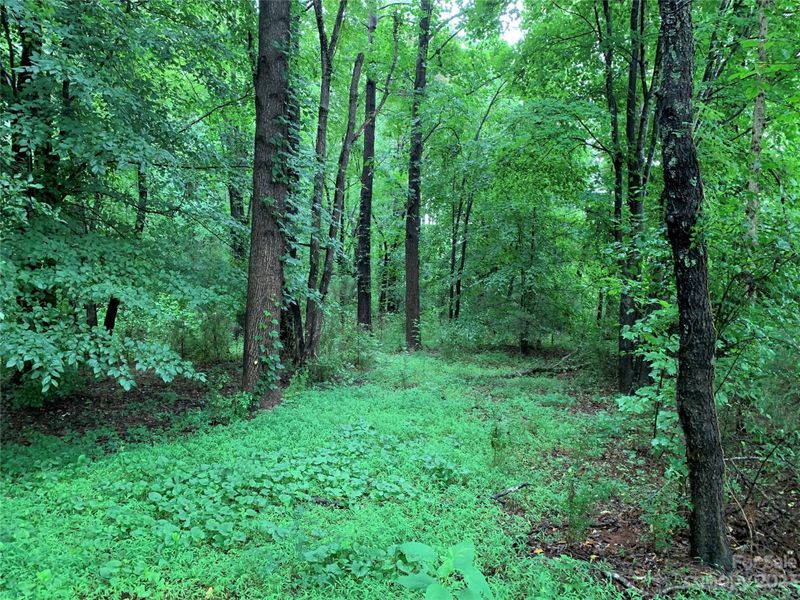 0 Ridgeview Rd #124, Statesville, NC 28625