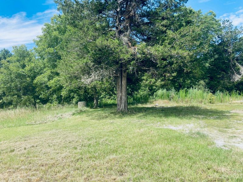 4096 Joshua Tree Rd, Lancaster, SC 29720