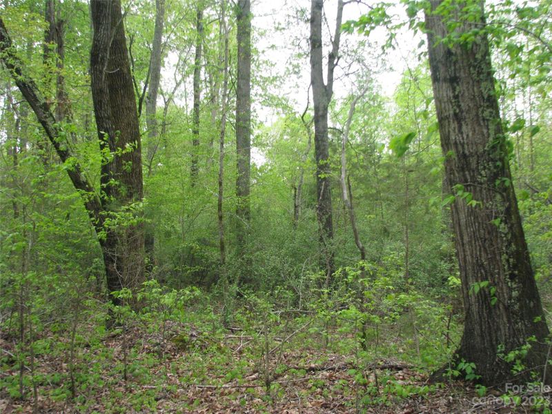 558 Akinbac Rd, Clover, SC 29710