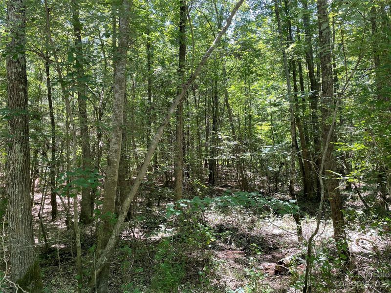 000 Sunnyside Dr #14, Lancaster, SC 29720